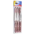 Juego de 3 cuchillos de acero inoxidable con mango de madera para carne y fruta - Estilo Cuchillo de Fruta / Juego de 6