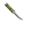 Cuchillo de fruta afilado para exteriores con mango de madera verde y hoja de acero - Green color wooden handle meat knife