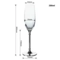 Detailliertes 200-ml-Champagnerglas mit silbernem Metallsockel und Größenangaben - Farbkarton / Silber