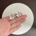 Detailansicht exquisiter silberfarbener Blumenstecker mit funkelnden Zirkonia-Blütenblättern. - Achtblättrige Gebürstete Strass Ohrstecker (E5353) / Dickes Silber