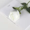 Premium moisturizing white artificial rose flower for home decor and wedding arrangements - White