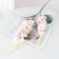 Pink two-forked artificial peacock orchid flower for home wedding decoration and floral arrangement. - Champagne
