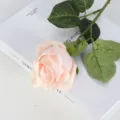 Premium moisturizing artificial light pink rose for wedding and home tabletop decor - Light Champagne