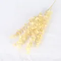 Golden artificial eucalyptus branch, soft plastic fake flower plant for home wedding decor. - Champagne