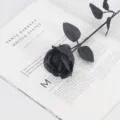 Tallo de rosa negra artificial para decoración de Halloween con pétalos realistas - Rosa Nuevo Estilo (36cm) / Negro