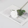 Premium real-touch moisturizing white artificial rose flower with long stem and leaves - White