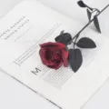 Rosa artificial de color rojo oscuro con hojas negras para decoración gótica de Halloween - Rosa Nuevo Estilo (36cm) / Burdeos