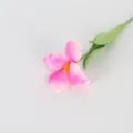 Single pink PU artificial tulip flower for Nordic home decor - Magenta Purple