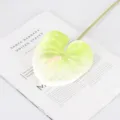 Artificial anthurium flower 3D print soft touch faux plant for home wedding decor items. - Gradient Green