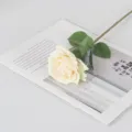 Premium single cream artificial moisturizing rose flower for home and hotel decor - Champagne