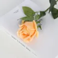 Rosa artificiale color champagne effetto idratante per decorazioni di casa e nozze - Arancione
