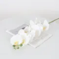 Artificial white phalaenopsis orchid flower stem for home decor, wedding and party arrangement. - White Yellow
