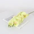 Artificial phalaenopsis orchid branch simulated flower for home living room decor - Light Green