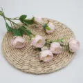 Tige de pivoine artificielle réaliste à six têtes pour le mariage et la décoration - Rose Printanier