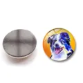 Colorful oil painting dog illustration on 25mm crystal glass magnetic fridge magnet - Border Collie Style ((25MM)XSWX6053-8)
