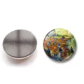 Decorative crystal glass fridge magnet featuring Van Gogh's Red Vineyard painting - The Red Vineyard (XSWX6052-8) / 25mm