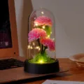 Detailed shot of preserved carnation glass dome night light with LED fairy lights on desk. - Carnations (MN Dome) / Acrylic Dome (Preserved Moss + Lawn + Color Box) / Pink