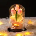 Lámpara de tulipán rosa romántica en cúpula de vidrio con luces LED cálidas decorativas - 大罩子郁金香-黑木底 / 玻璃罩款(含泡沫 礼盒 灯 贺卡) / Rosa Degradado
