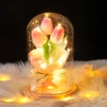 Elegante lámpara de tulipán rosa en cúpula de cristal con luces LED cálidas para decoración - 大罩子郁金香-原木底 / 塑料罩款(含礼盒 灯 贺卡) / Rosa Degradado