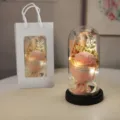 Rose éternelle oeillet préservé dôme en verre avec lumière LED et sac cadeau pour la fête. - Carnation Pink