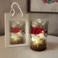 Luminous glass wishing bottle with red dried flowers and LED fairy lights gift box set. - Wood Cork Glass Mini Bouquet (8x12) / Red Carnation