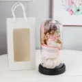 Glass dome eternal rose flower bouquet with fairy lights and gift bag for gifts - Eisha Rose