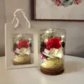 Luminous glass rose bottle with fairy lights romantic gift for Valentine and teachers day - Wood Cork Glass Mini Bouquet (8x12) / Red Rose