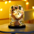 Bouquet di rose stabilizzate in cupola di vetro con luci a LED calde per regali - Cupola in acrilico base nera / 7 rose champagne