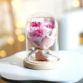 Künstliche Seifenrosen im Glassturz mit Holzsockel, romantisches LED Geschenk für Valentinstag. - BL 3 Rosen (Rosa-Weiß)