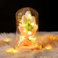 Primer plano de lámpara de tulipán en cúpula de cristal con luces LED en alfombra blanca - 大罩子郁金香-原木底 / 塑料罩款(含礼盒 灯 贺卡) / Blanco