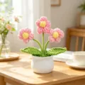 Detailed macro view of finished handmade pink crochet flowers in a minimalist white ceramic pot - 3-Head Puff Flower Potted Plant / Pink