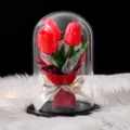 Lámpara de tulipán rojo en cúpula de cristal con cinta 'Just for you' regalo especial - 大罩子郁金香-黑木底 / 玻璃罩款(含泡沫 礼盒 灯 贺卡) / Rojo
