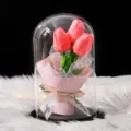 Elegante lámpara de cúpula de vidrio con tulipanes rosas artificiales para regalo - 大罩子郁金香-黑木底 / 塑料罩款(含礼盒 灯 贺卡) / Rosa Empolvado