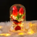 Lámpara de cúpula de vidrio tulipán rojo artificial con luces LED en piel sintética - 大罩子郁金香-原木底 / 塑料罩款(含礼盒 灯 贺卡) / Rojo