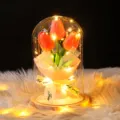 Lámpara de tulipán naranja en cúpula de vidrio con luces LED cálidas y cinta de regalo - 大罩子郁金香-原木底 / 塑料罩款(含礼盒 灯 贺卡) / Rosa Empolvado