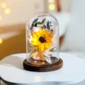 Wunderschöne konservierte Sonnenblume und Rose in Glaskuppel mit warmen LED-Lichtern - Große Sonnenblume + Rose