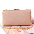 Sparkling glitter evening clutch bag with gold chain strap for women party prom wedding. - L 18cm * W 5cm * H 10cm / Champagne