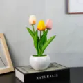 Close-up detail view of colorful tulip night light in white ceramic pot, cozy room decor. - 3 Multicolor-Battery (With Tote Bag)