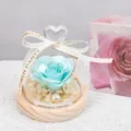 Rosa preservada cúpula de cristal luz LED flor eterna regalo romántico San Valentín - Base de madera con pantalla en forma de corazón - Azul claro