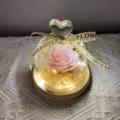 Cúpula de vidrio de rosa preservada con luces LED, regalo romántico de San Valentín. - Base de madera con pantalla en forma de corazón - Rosa