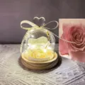 Rosa preservada bajo cúpula de cristal con luces LED regalo romántico para el día de San Valentín. - Base de madera con pantalla de corazón blanca