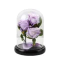 Vue détaillée de trois roses en velours violettes sous cloche avec guirlande LED - Trois Roses Rondes / Grand Dôme en Acrylique / Violet
