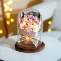 Nahaufnahme von konservierten rosa Rosen in einer Glaskuppel mit warmer LED-Lichterkette - Large Glass Dome And Charcoal Wood Base / 7 rosa-weiße Rosen
