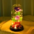 LED cúpula de cristal rosa flor artificial romántica regalo lámpara decoración San Valentín - Cubierta de acrílico 11*22 / Púrpura