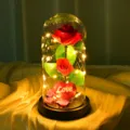 Romántica rosa artificial en cúpula de vidrio con luces LED, regalo perfecto de San Valentín - Cubierta de acrílico 11*22 / Rojo