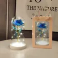 LED galaxy rose glass dome eternal flower glowing gift with bag romantic Valentine decor - White Base Gold Foil Blue Flower Glass Cover