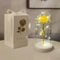 Luce notturna rosa LED in cupola vetro con scatola regalo bianca, regalo romantico di San Valentino - Rosa Colorata con Base Bianca (Scatola Regalo Bianca) / Giallo