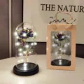 Galaxy gold foil rose flower in glass dome with led lights and gift bag for romantic gifts. - Black Base Gold Foil Purple Flower Glass Cover