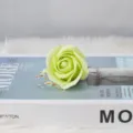 Hellgrüner Seifenrosenkopf auf dekorativem Buch für DIY-Blumensträuße und Valentinstag - Dreischichtiger Kopf / Obstgrün