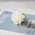 Primer plano de una cabeza de rosa de jabón blanco de tres capas para ramos DIY - Cabeza de Tres Capas / Blanco